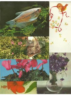 Tematikus képeslapok Romániából (1970/1980) - 6 db