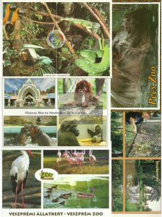   Állatkertek és Arborétumok Magyarországon képeslapok (10 db)