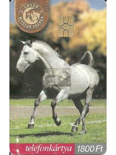 Telefonkártya - Lovak