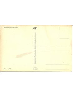 Kunhegyesi-részletek képeslap / KUNHEGYES postcard