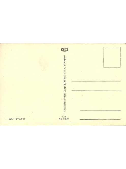 Nyíregyháza Városi Tanácsháza képeslap / NYÍREGYHÁZA postcard