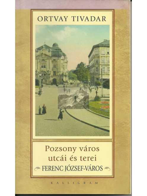 Pozsony város utcái és terei