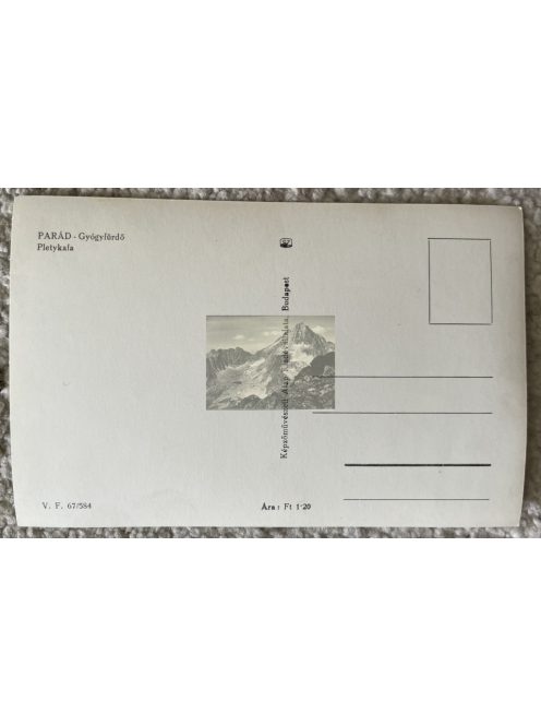 Parád - Gyógyfürdő, Pletykafa