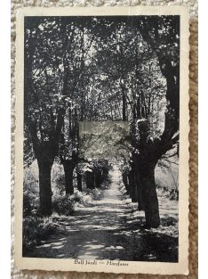 Balf fürdő, Hársfasor 1928.