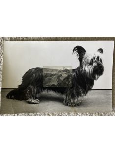 Fotóképeslapok 1960-1970