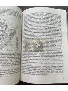 Martonné Erdős Katalin: Magyarország természeti földrajza I. 1997.