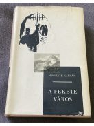 Mikszáth Kálmán: A fekete város