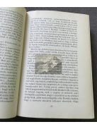 Mikszáth Kálmán: A fekete város