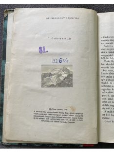 Tatay Sándor: Puskák és galambok