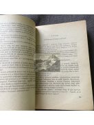 Szentiványi Jenő: A görög gálya titka, Delfin könyvek