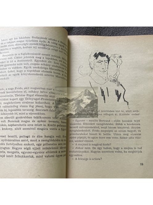 Pierre Gamarra: Tavasz kapitány, Delfin könyvek
