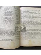 Révay József: A párduc