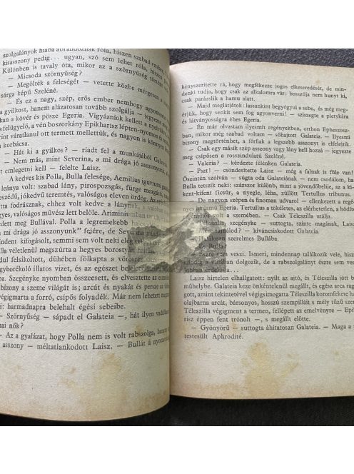 Révay József: A párduc