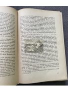 Révay József: A párduc