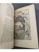 Maciej Wojtyszko: A hosszú álom, Delfin Könyvek