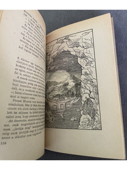 Maciej Wojtyszko: A hosszú álom, Delfin Könyvek