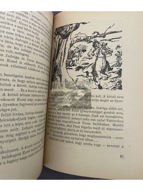 Geréb László: Búvár Kund, Delfin könyvek