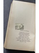 Charlotte Brontë:  A lowoodi árva, Csíkos könyvek 