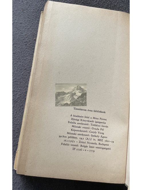 Charlotte Brontë:  A lowoodi árva, Csíkos könyvek 