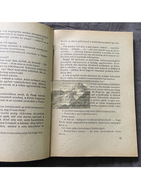 Szentiványi Jenő: A fehér csapat, Delfin könyvek