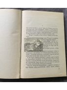 Tőke Péter: Veszélyes szafári, Delfin könyvek