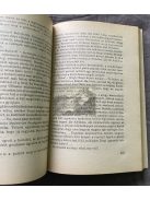 Tőke Péter: Veszélyes szafári, Delfin könyvek