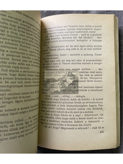 Simai Mihály: A sólymok szabadnak születnek, Delfin könyvek