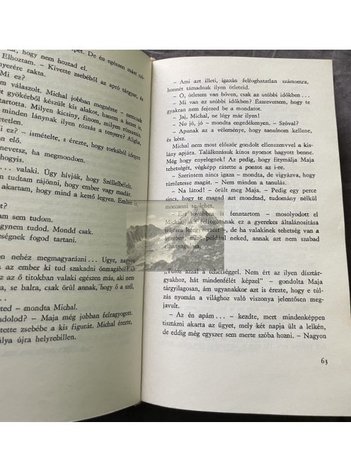 Irena Jurgielewiczowa: Minden másképpen van, Csíkos könyvek