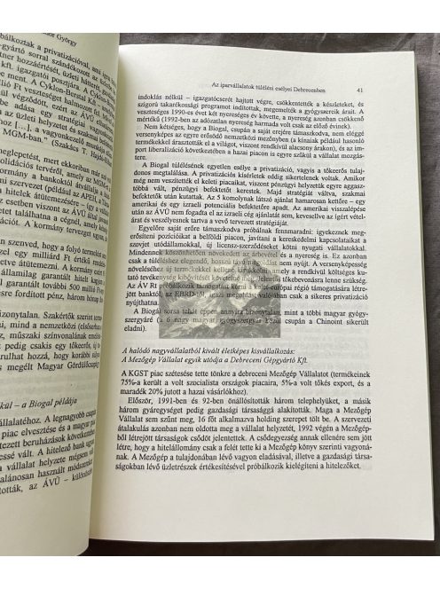 Süli-Zakar István: Debrecen Megyei Jogú Város Makroregionális Szerepköre (1994)