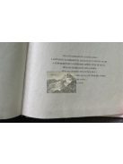 Kasimir Edschmid: Georg Büchner, Egy német forradalom története