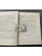 Willi Meinck: Marco Polo kalandos ifjúsága