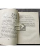 Willi Meinck: Marco Polo kalandos ifjúsága