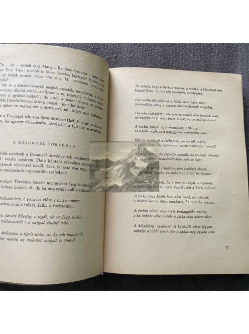 Rudyard Kipling: A dzsungel könyve