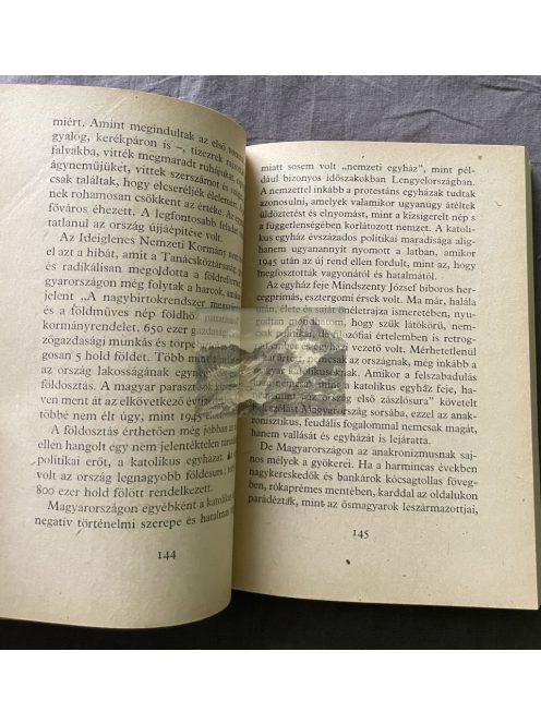Gyurkó László: Arcképvázlat történelmi háttérrel, 1982