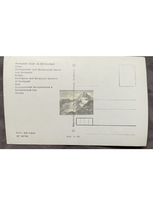 Budapest Állat és Növénykert képeslap, 2db