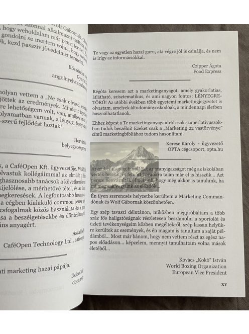 Wolf Gábor: Kisvállalati marketing biblia