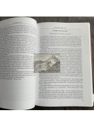 Debreczeni József: Hazárdjáték