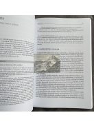 Bauer Adrás: Márkamenedzsment