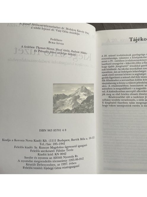 Dr. Mohácsy Károly: Kiegészítő füzet az irodalom tankönyvhöz IV.