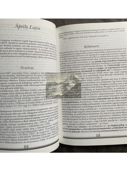 Dr. Mohácsy Károly: Kiegészítő füzet az irodalom tankönyvhöz IV.