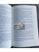 Margaret Weis, Tracy Hickman: Az őszi alkony sárkányai