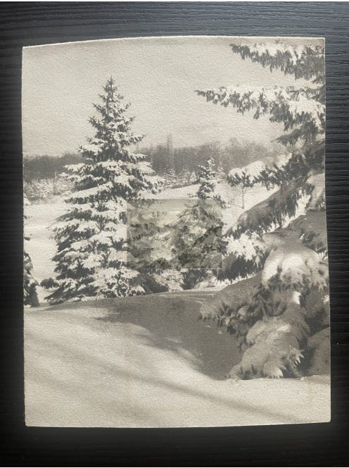 Karácsonyi képeslapok gyűjteménye, 500+ db